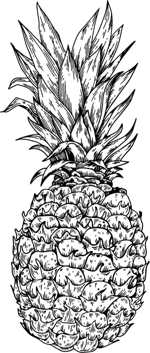 Pineapple Drawing