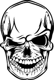 Skull