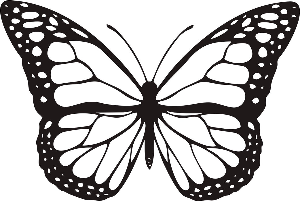 Single Butterfly