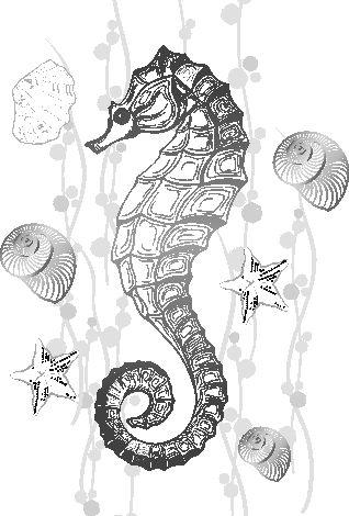 Seahorse